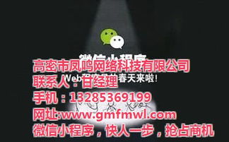 高密網(wǎng)絡(luò)公司專(zhuān)業(yè)推廣與鳳鳴網(wǎng)絡(luò)技術(shù)深度解析 高清視覺(jué)營(yíng)銷(xiāo)賦能旅游開(kāi)發(fā)項(xiàng)目策劃